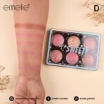 Emelie 6 colour blush kit - Image 3