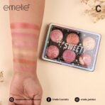 Emelie 6 colour blush kit - Image 4