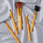 Bn brushes