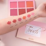 IMagic touch 6 color blush